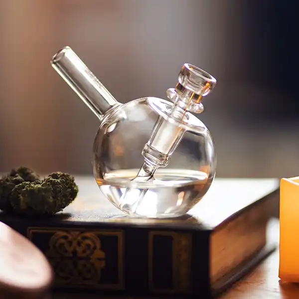 Honey Buzz Categories Accessories