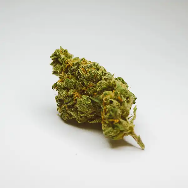 Honey Buzz Categories Flower