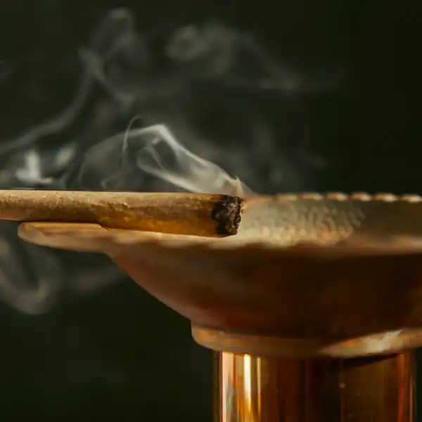 Honey Buzz Categories Pre-Rolls